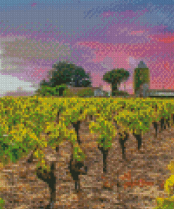 Vineyard France Sunset Diamond Painting