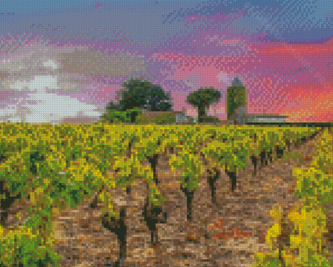 Vineyard France Sunset Diamond Painting