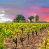 Vineyard France Sunset Diamond Painting