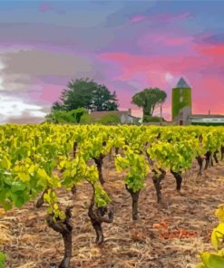 Vineyard France Sunset Diamond Painting