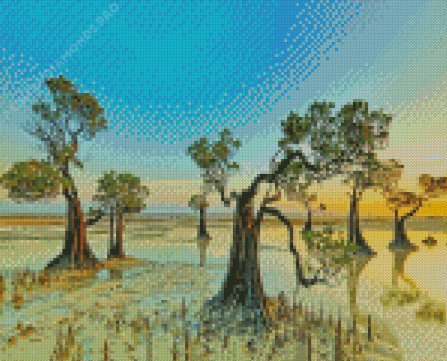 Walakiri Beach Mangrove Trees Diamond Painting