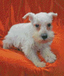 White Miniature Schnauzer Diamond Painting