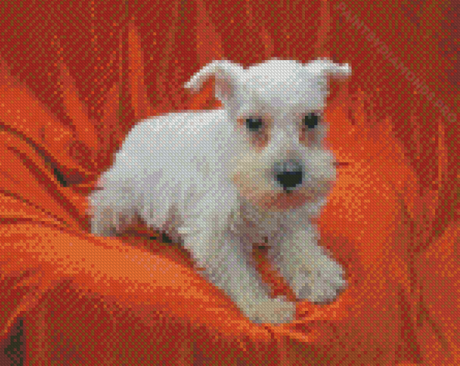 White Miniature Schnauzer Diamond Painting