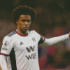 Willian Fulham Footballer Diamond Painting