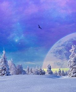 Winter Snow Planet Diamond Painting