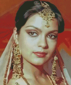 Zeenat Aman Diamond Painting