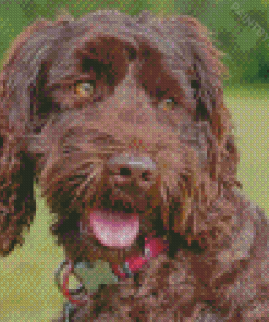 Adorable Chocolate Labradoodle Diamond Painting