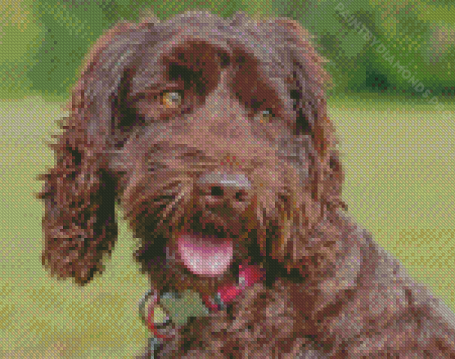 Adorable Chocolate Labradoodle Diamond Painting