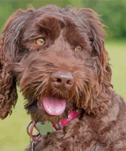 Adorable Chocolate Labradoodle Diamond Painting