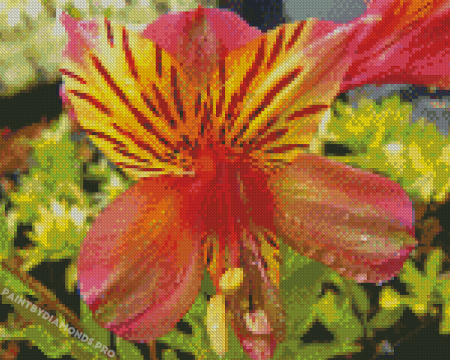 Aesthetic Alstroemeria Diamond Painting