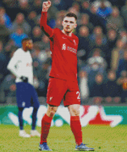 Aesthetic Andrew Robertson Diamond Painting