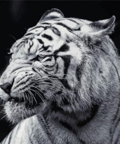 Aesthetic Black And White Tiger Diamond Painting