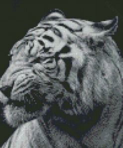 Aesthetic Black And White Tiger Diamond Painting