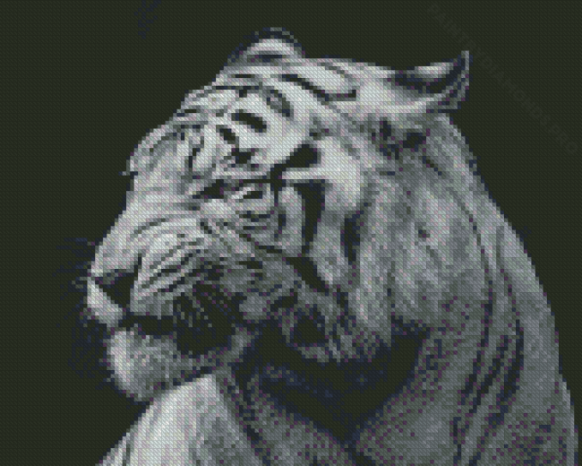 Aesthetic Black And White Tiger Diamond Painting