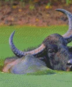 Aesthetic Buffalo Diamond Painting