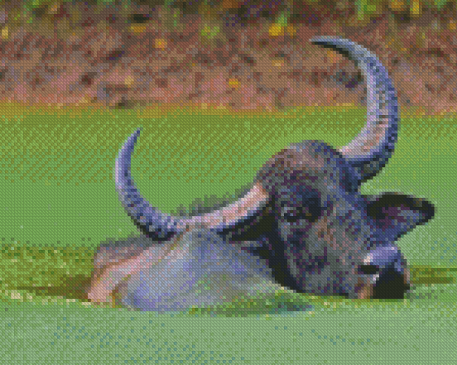 Aesthetic Buffalo Diamond Painting