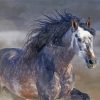 Aesthetic Dark Grey Horse Diamond Painting