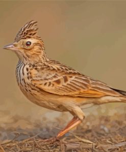 Aesthetic Eurasian Skylark Diamond Painting