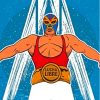 Aesthetic Lucha Diamond Painting