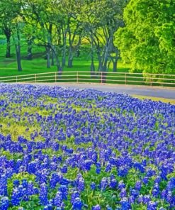 Aesthetic Texas Bluebonnets Diamond Painting