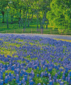 Aesthetic Texas Bluebonnets Diamond Painting