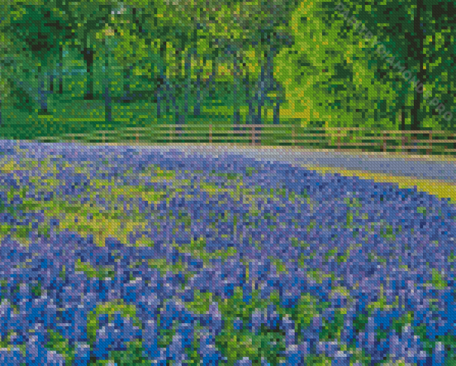 Aesthetic Texas Bluebonnets Diamond Painting