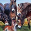 Aesthetic Exmoor Pony Animals Diamond Painting