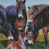 Aesthetic Exmoor Pony Animals Diamond Painting