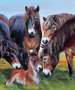 Aesthetic Exmoor Pony Animals Diamond Painting