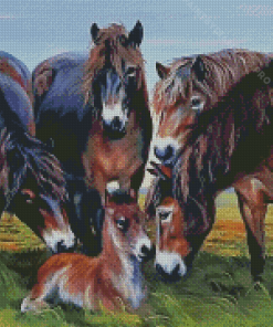 Aesthetic Exmoor Pony Animals Diamond Painting