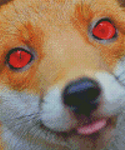 Aesthetic Fox With Red Eyes Diamond Painting