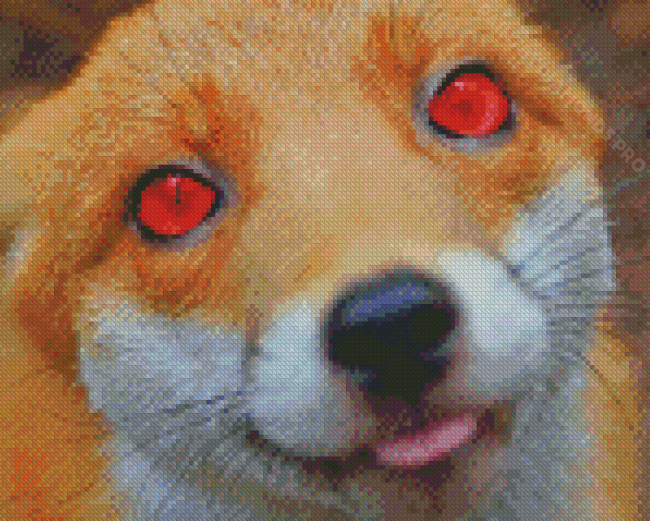 Aesthetic Fox With Red Eyes Diamond Painting