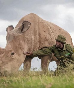 African Rhino Diamond Painting