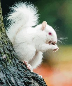 Albino Squirrels Eating Diamond Painting