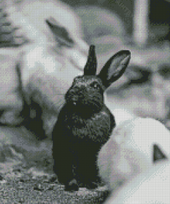 Black And White Bunny Diamond Painting