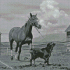 Black And White Dog Horse Farm Diamond Painting