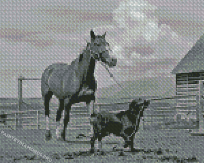 Black And White Dog Horse Farm Diamond Painting