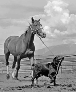 Black And White Dog Horse Farm Diamond Painting