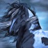 Black Gypsy Vanner Horse Diamond Painting