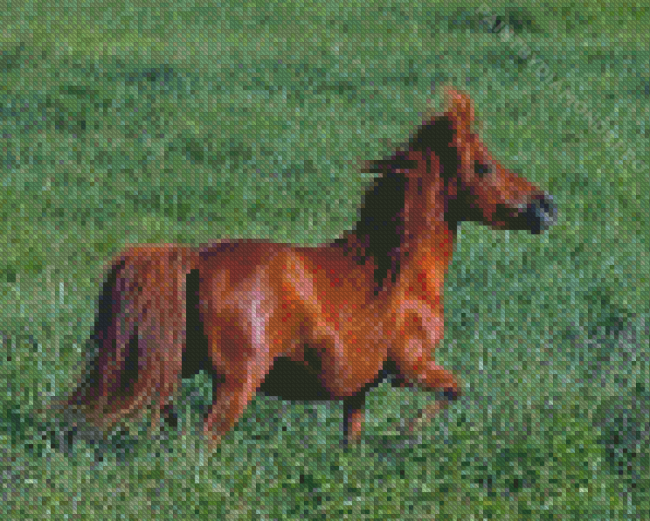 Brown Mini Horse Diamond Painting