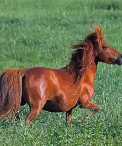 Brown Mini Horse Diamond Painting