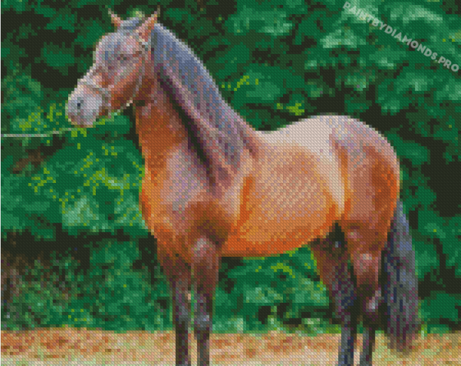 Brown Paso Fino Diamond Painting