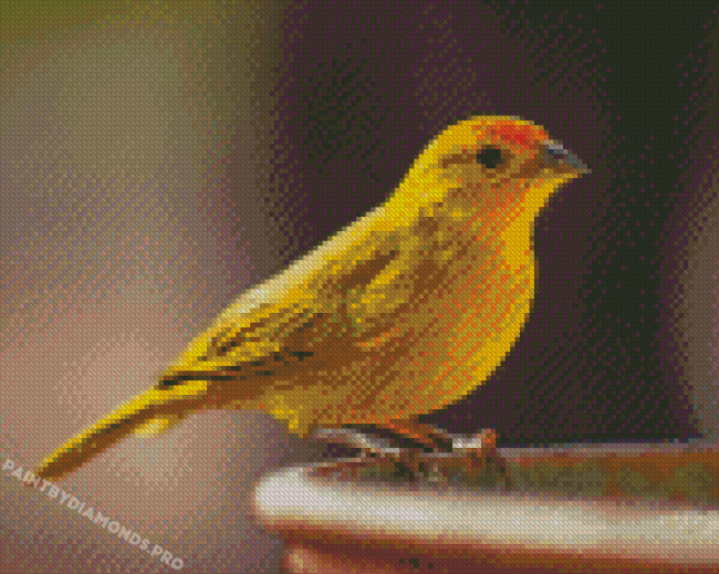 Canary Bird Diamond Painting