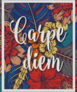 Carpe Diem Illustration Diamond Painting