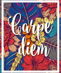 Carpe Diem Illustration Diamond Painting