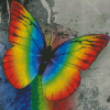 Colorful Butterfly Diamond Painting