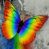 Colorful Butterfly Diamond Painting