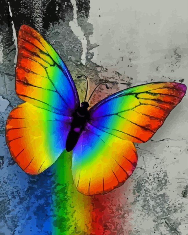 Colorful Butterfly Diamond Painting