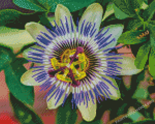 Cool Blue Passion Flower Diamond Painting