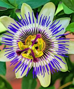 Cool Blue Passion Flower Diamond Painting